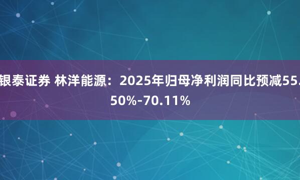 銀泰證券 林洋能源:2025年歸母凈利潤同比預減55.50%-70.11%