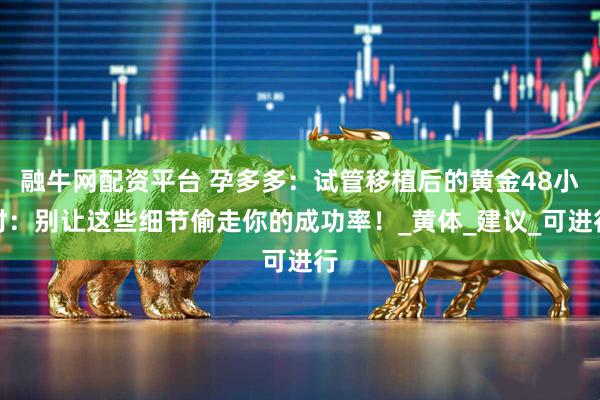 融牛網配資平臺 孕多多：試管移植后的黃金48小時：別讓這些細節偷走你的成功率！_黃體_建議_可進行